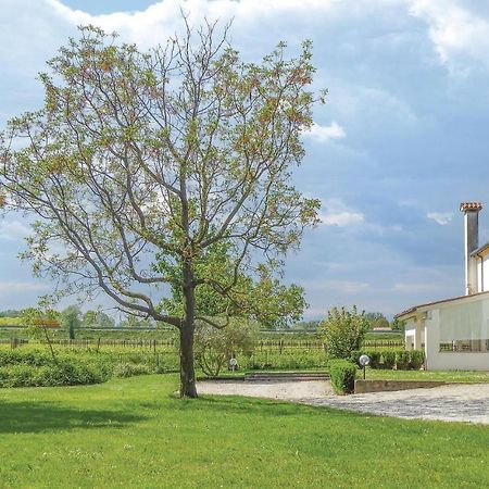 Casa Di Mamy Villa Sant'Elena di Silea Екстериор снимка